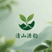 清山源韵信阳毛尖