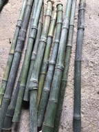 珍宝斋实心玉竹