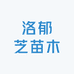 洛郁芝苗木