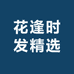 花逢时发精选