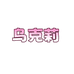乌克莉澳鼎女装专卖店