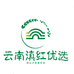 云南滇红优选