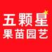 五颗星果苗园艺