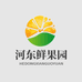 河东鲜果