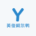 英俊柯尔鸭