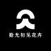 拾光初见花卉