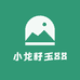 小龙籽玉88