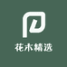 花木精选