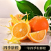 四季鲜橙供应链