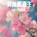 浔梦花语