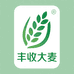 丰收大麦护理品供应