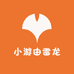 小游游雷龙