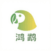 鸿鹉鹦鹉养殖基地