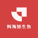 阿海原生鱼