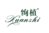 绚植