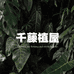 千藤植屋