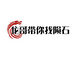 龙哥带你找陨石