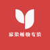 家染植物专染