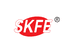 SKFE家庭清洁工厂店