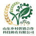 山东乡村供销科技助农供应链