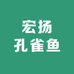 宏扬孔雀鱼