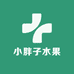 小胖子水果小时达