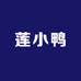 莲小鸭的店
