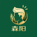 森阳男士假发