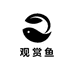 水间观赏鱼