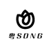 粤SONG