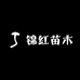 锦红苗木