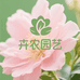 卉农园艺小店
