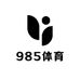 985体育篮球袜