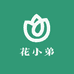 花小弟茶花园艺