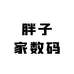 胖子家数码