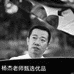 杨杰老师甄选优品