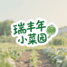瑞丰年小菜园
