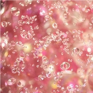 峰颖诚信优选2号店