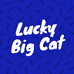 Lucky Big Cat 婴童生活
