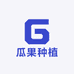 瓜果种植