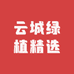 云城绿植精选