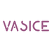 VASICE官方海外旗舰店