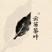 云芾茶业
