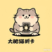 大肥猫拆卡
