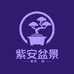 紫安盆景颗粒土