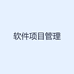 软件项目管理