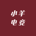 小羊电竞