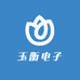 玉衡电子