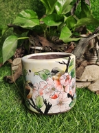 景德镇艾文龙陶瓷企业店