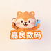 嘉良数码
